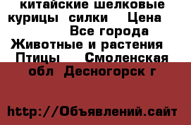 китайские шелковые курицы (силки) › Цена ­ 2 500 - Все города Животные и растения » Птицы   . Смоленская обл.,Десногорск г.